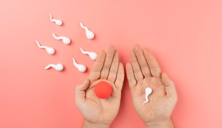 Fertility Issues: “Fertility Facts Uncovered”